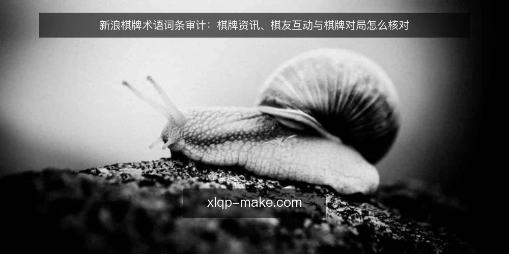 新浪棋牌术语词条审计:棋牌资讯、棋友互动与棋牌对局怎么核对 — 为什么现在要做术语审计 配图